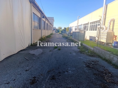 immagine annuncio 2 di 6