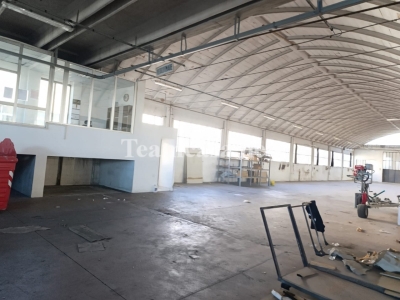 immagine annuncio 4 di 6