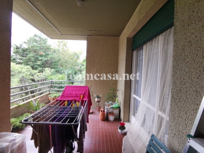 immagine annuncio 2 di 7