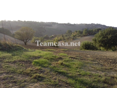 immagine annuncio 5 di 9