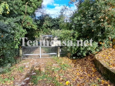 immagine annuncio 6 di 9