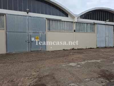 immagine annuncio 1 di 7