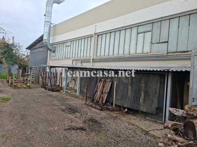 immagine annuncio 3 di 7