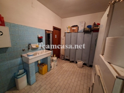 immagine annuncio 5 di 7