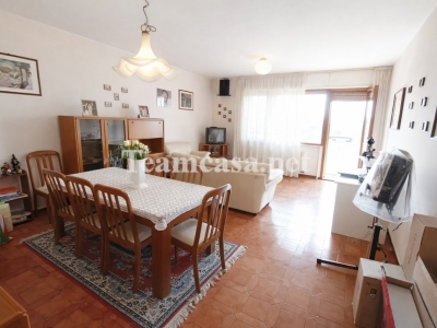 immagine annuncio 3 di 9