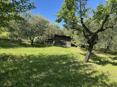 immagine annuncio 5 di 9