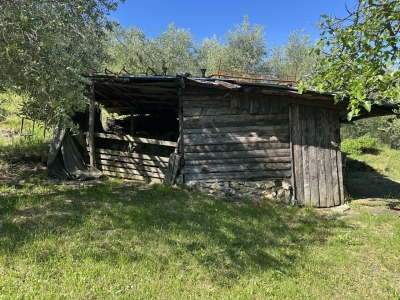 immagine annuncio 6 di 9