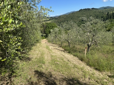 immagine annuncio 8 di 9