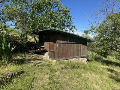 immagine annuncio 1 di 9