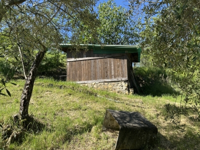 immagine annuncio 3 di 9