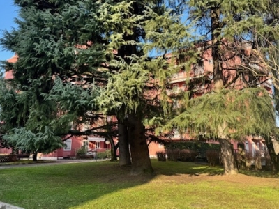 immagine annuncio 2 di 9