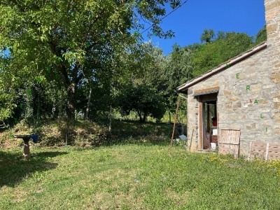 immagine annuncio 2 di 9