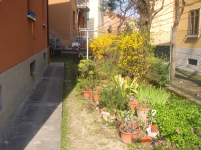 immagine annuncio 6 di 9