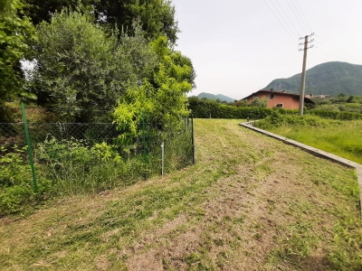 immagine annuncio 3 di 9