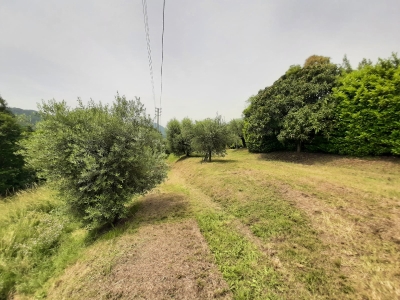 immagine annuncio 5 di 9