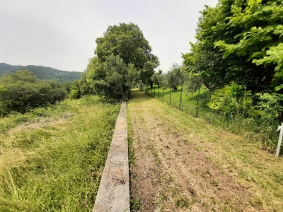 immagine annuncio 1 di 9