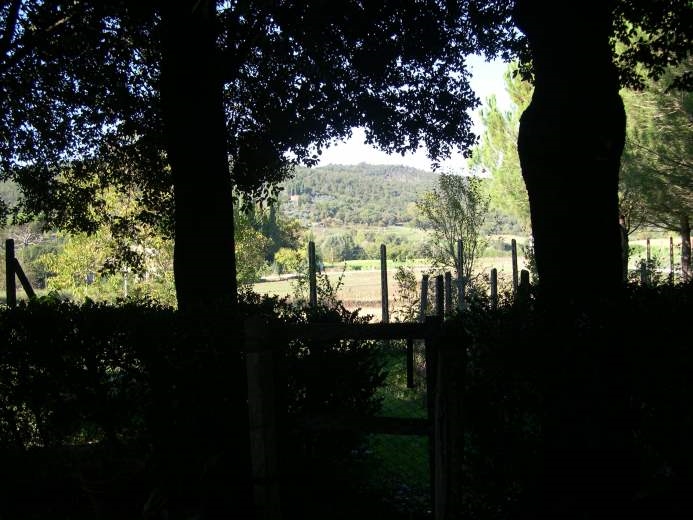 Rustico / Casale in Vendita a Sinalunga