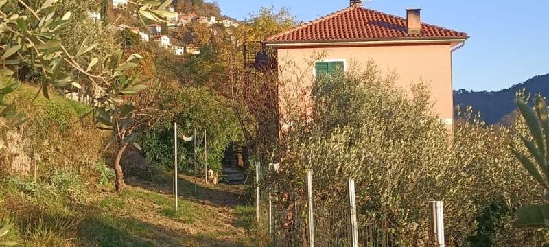 Soluzione Semindipendente in Vendita a Davagna