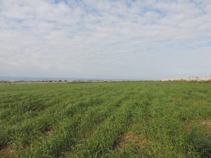 Terreno Agricolo in Vendita a Ragusa