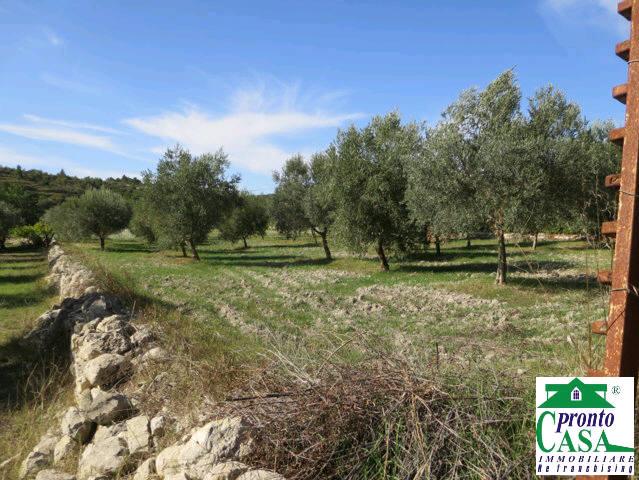Terreno Agricolo in vendita a Giarratana, 9999 locali, zona Località: CALAFORNO, prezzo € 60.000 | PortaleAgenzieImmobiliari.it