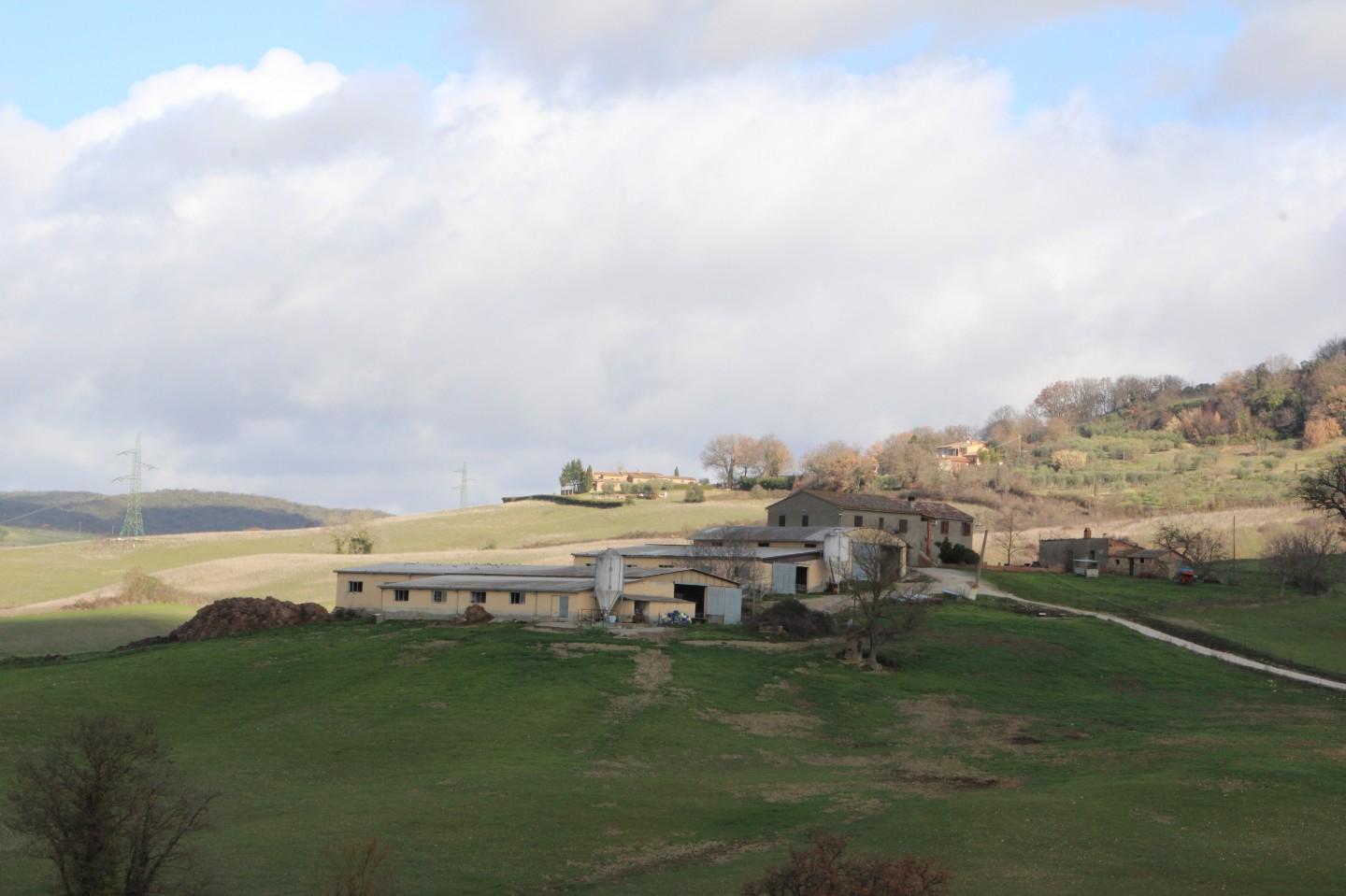 Azienda Agricola in Vendita a Casole d'Elsa