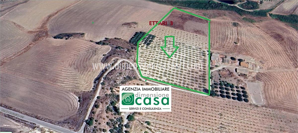 Terreno Agricolo in vendita a Caltanissetta, 9999 locali, prezzo € 49.000 | PortaleAgenzieImmobiliari.it