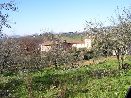 Agriturismo in Vendita a Capannori