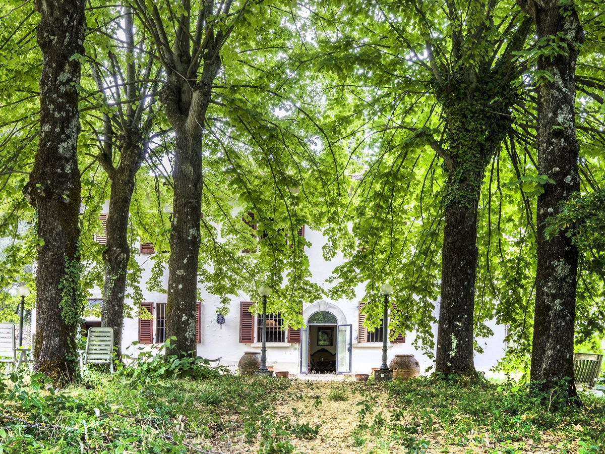 Villa Tri-Quadrifamiliare in vendita a Pontassieve