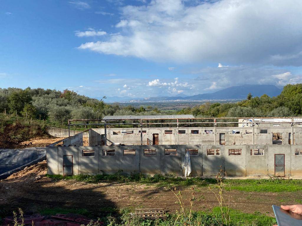 Azienda Agricola in vendita a Postiglione - Zona: Canneto