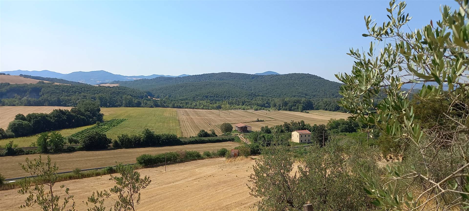 Terreno Agricolo in vendita a Montecatini Val di Cecina - Zona: Ponteginori