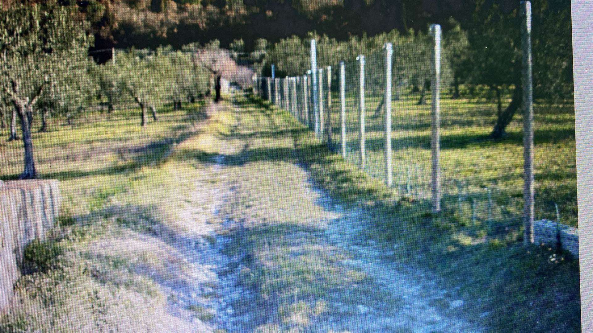 Terreno Agricolo in vendita a Calenzano, 9999 locali, zona ncoli, prezzo € 130.000 | PortaleAgenzieImmobiliari.it