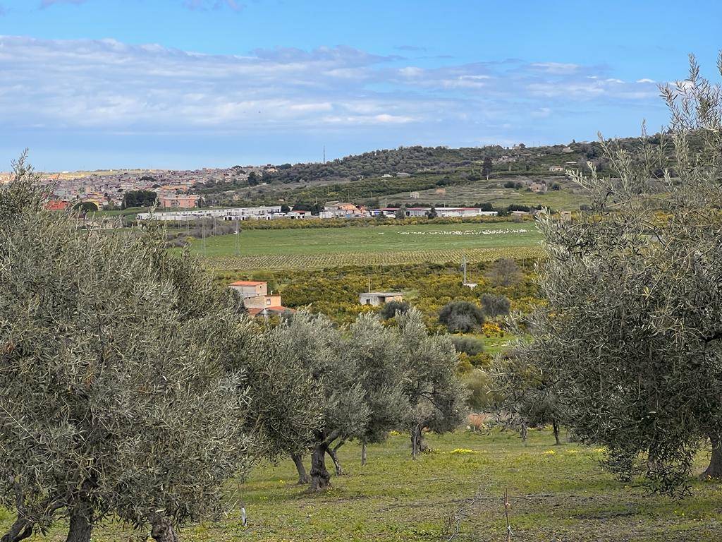 Terreno Agricolo in vendita a Carlentini, 1 locali, prezzo € 20.000 | CambioCasa.it