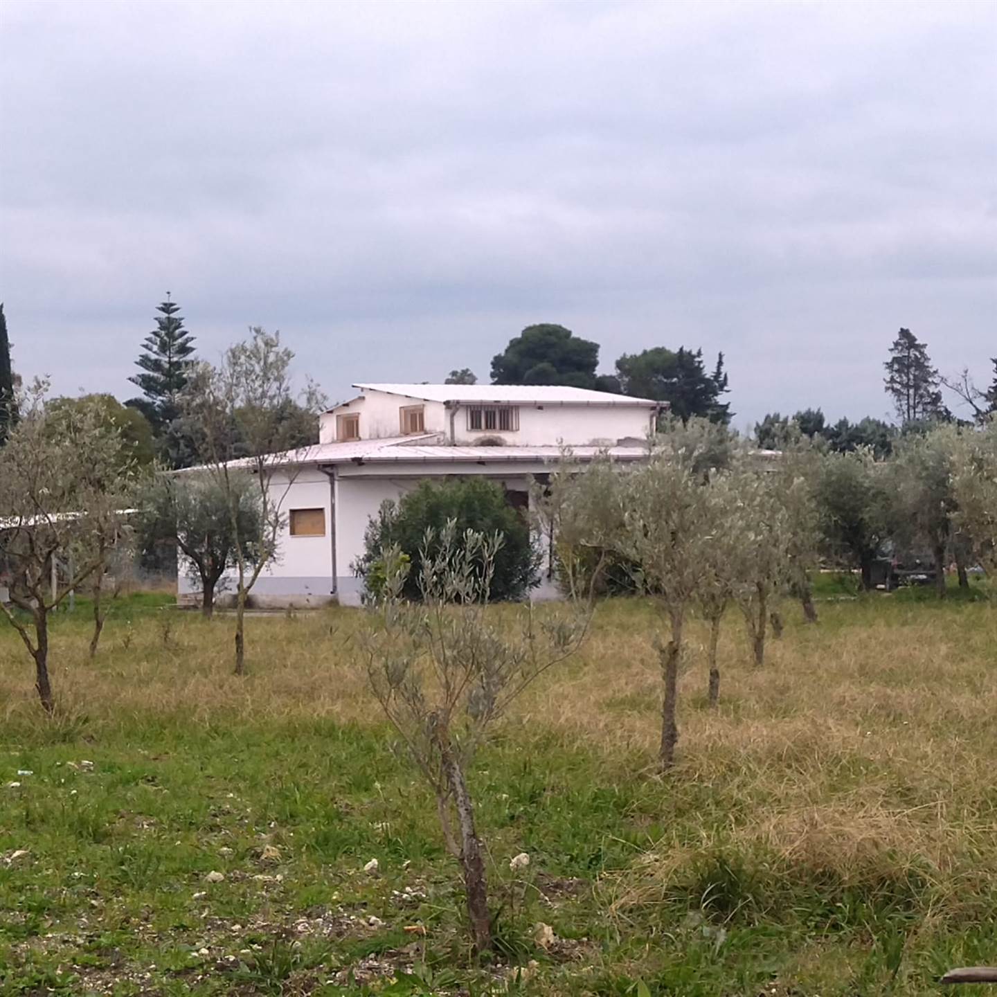 Agriturismo in vendita a Pontecagnano Faiano, 5 locali, zona Località: MAGAZZENO, prezzo € 220.000 | PortaleAgenzieImmobiliari.it