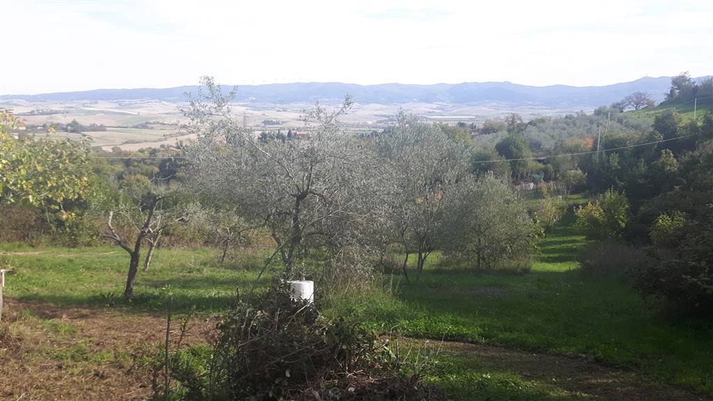 Terreno Agricolo in vendita a Rosignano Marittimo, 9999 locali, zona Località: ROSIGNANO MARITTIMO, prezzo € 32.000 | CambioCasa.it