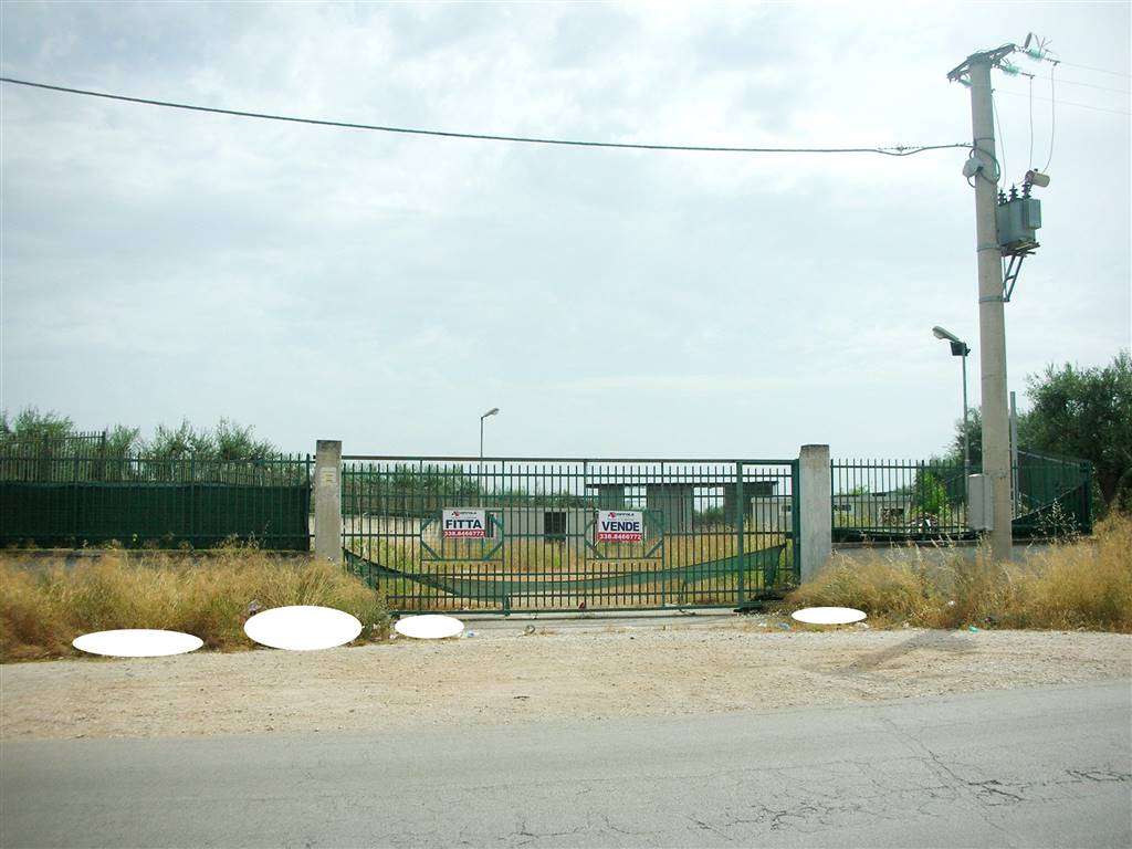 Terreno Edificabile Residenziale a Canosa di Puglia in Affitto