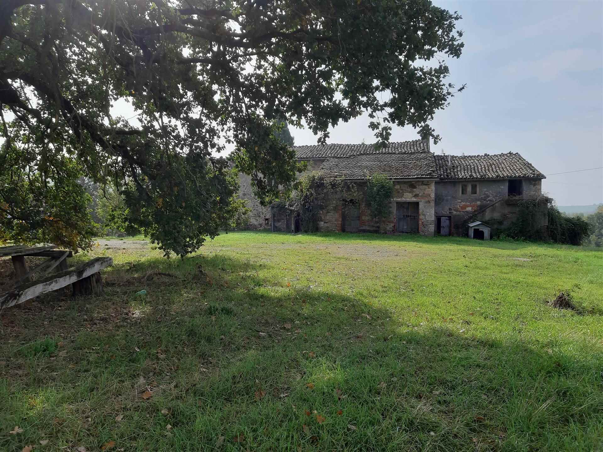 Azienda Agricola in Vendita a San Casciano dei Bagni
