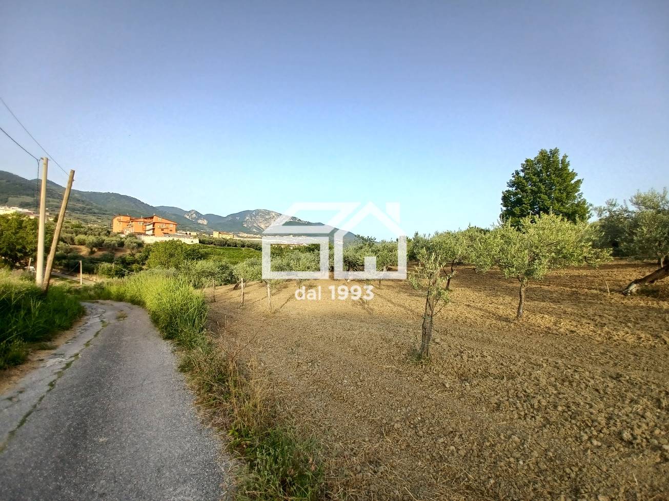 Terreno Agricolo in vendita a Montecorvino Rovella, 9999 locali, prezzo € 39.000 | PortaleAgenzieImmobiliari.it