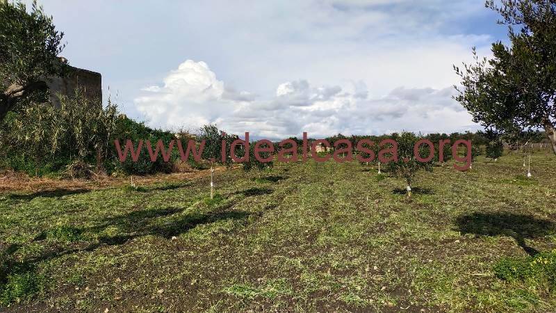 Terreno Agricolo in vendita a Mazara del Vallo, 2 locali, zona Località: BORGATA COSTIERA, prezzo € 15.000 | PortaleAgenzieImmobiliari.it