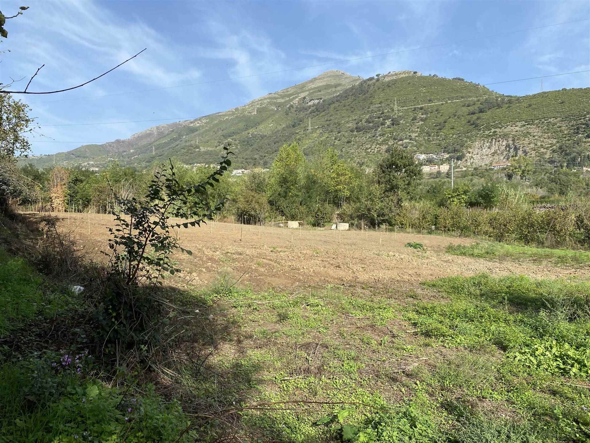 Terreno Edificabile Residenziale in vendita a Salerno - Zona: Rufoli