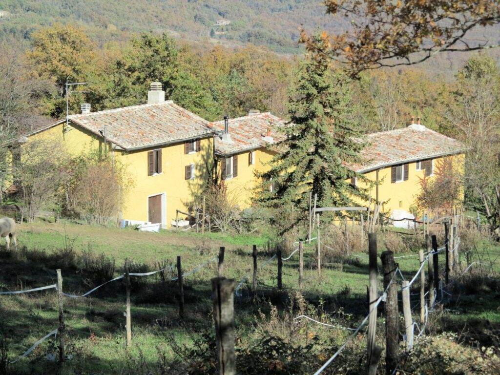Azienda Agricola in vendita a Montieri, 19 locali, zona Zona: Travale, Trattative riservate | CambioCasa.it