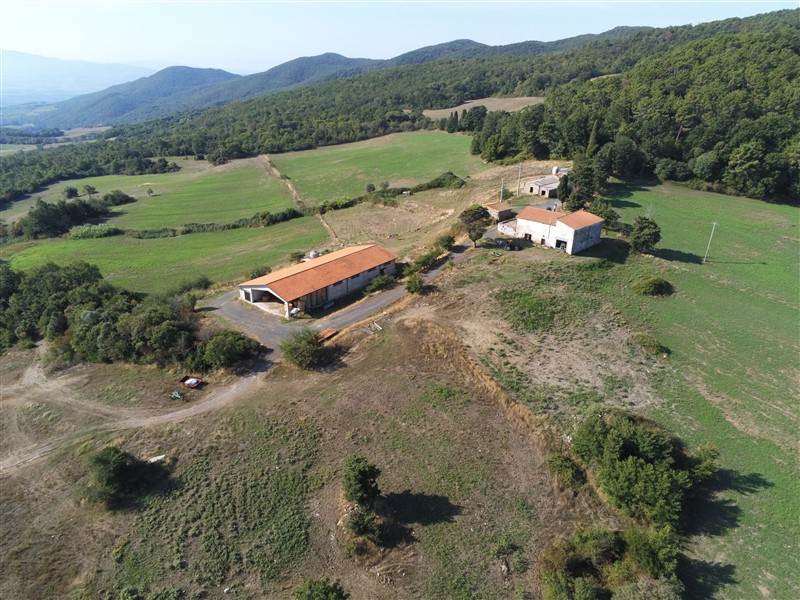 Azienda Agricola in vendita a Riparbella, 1 locali, prezzo € 650.000 | PortaleAgenzieImmobiliari.it