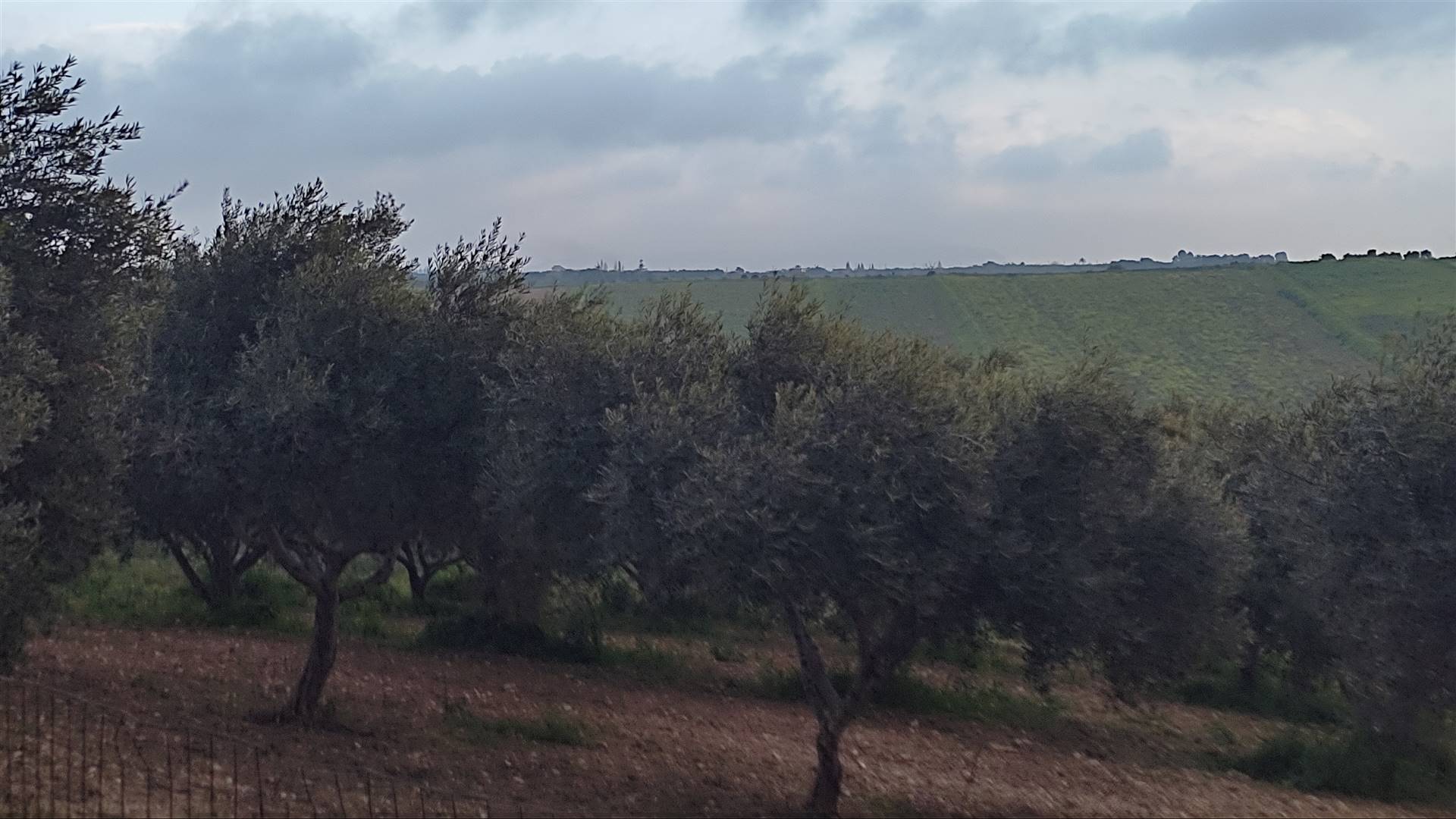Terreno Agricolo in vendita a Sciacca, 9999 locali, prezzo € 60.000 | PortaleAgenzieImmobiliari.it