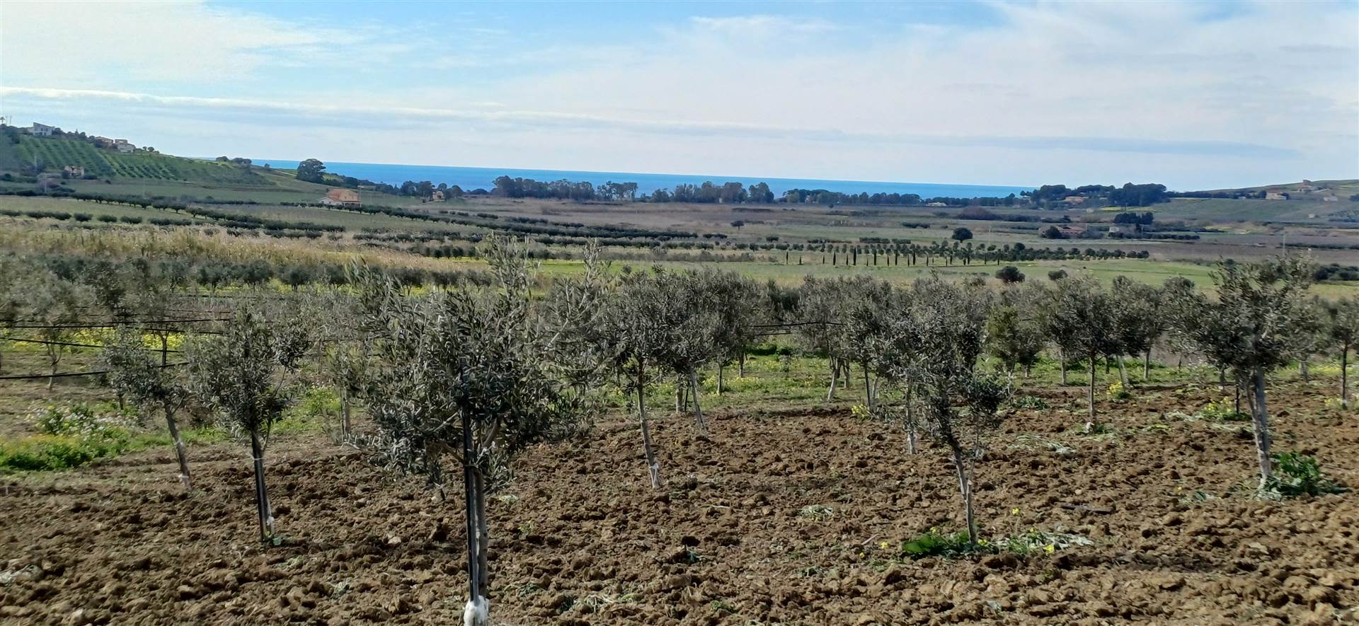 Terreno Agricolo in vendita a Sciacca, 9999 locali, prezzo € 45.000 | PortaleAgenzieImmobiliari.it