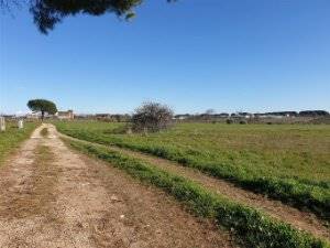 Terreno Agricolo in vendita a Aprilia, 9999 locali, zona Località: SELCIATELLA, prezzo € 85.000 | PortaleAgenzieImmobiliari.it