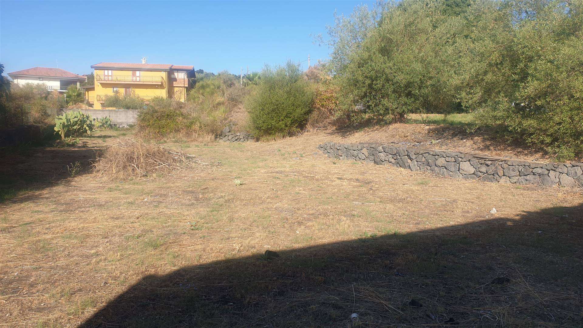 Terreno Agricolo in vendita a Pedara, 9999 locali, prezzo € 36.000 | CambioCasa.it