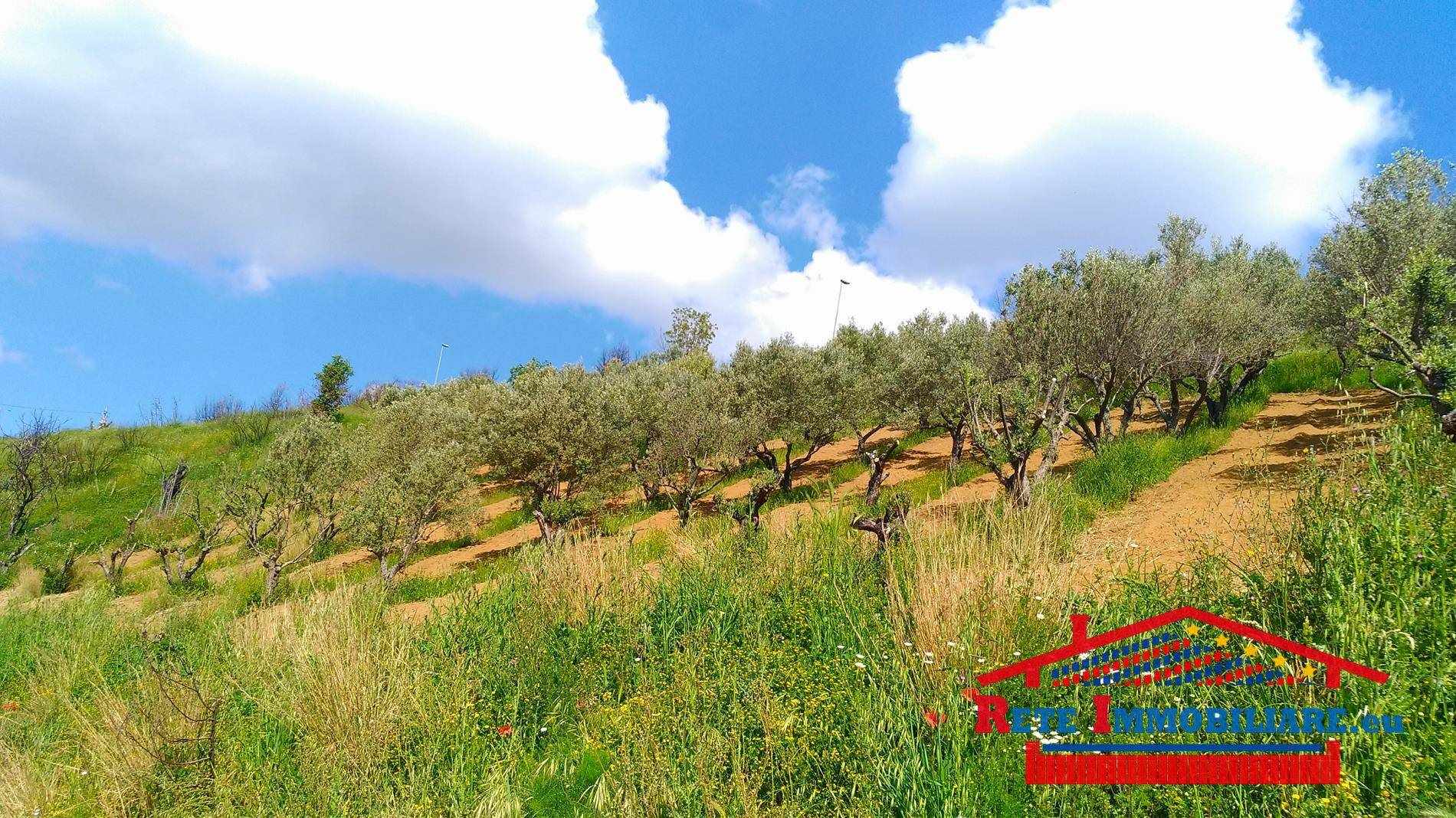Terreno Agricolo in vendita a Cosenza, 9999 locali, zona Località: TIMPONE ULIVI, prezzo € 300.000 | PortaleAgenzieImmobiliari.it