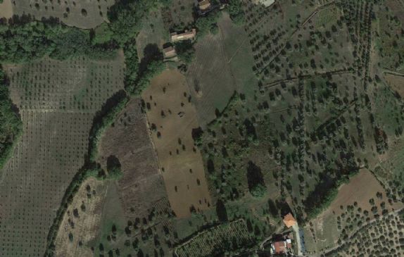 Terreno Agricolo in vendita a Montalto Uffugo, 9999 locali, zona Località: TAVERNA, prezzo € 85.000 | CambioCasa.it