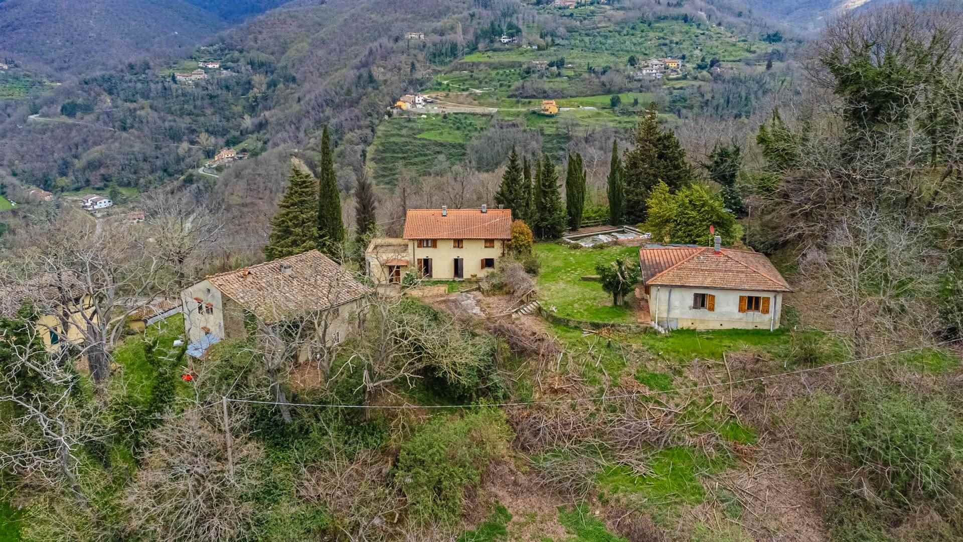 Soluzione Indipendente in vendita a Vicchio, 20 locali, zona Località: VILLORE, prezzo € 350.000 | PortaleAgenzieImmobiliari.it
