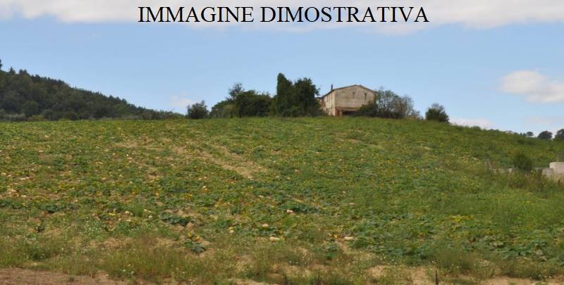Terreno Agricolo in vendita a Castel di Iudica, 1 locali, prezzo € 3 | PortaleAgenzieImmobiliari.it