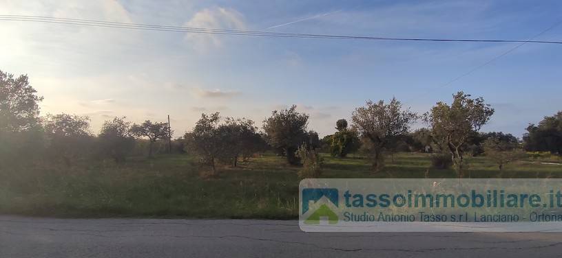Terreno Agricolo in vendita a Ortona, 9999 locali, prezzo € 38.000 | PortaleAgenzieImmobiliari.it